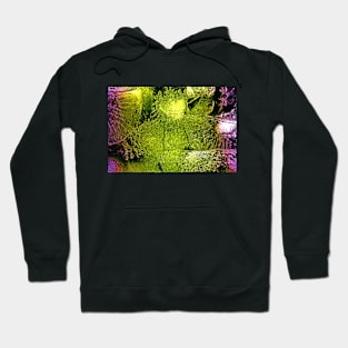 Fruits Abstract Ornament Hoodie